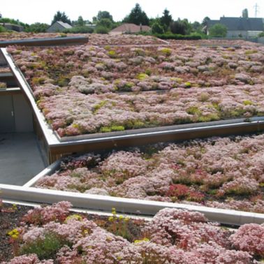 The green roof of a nursing home in France