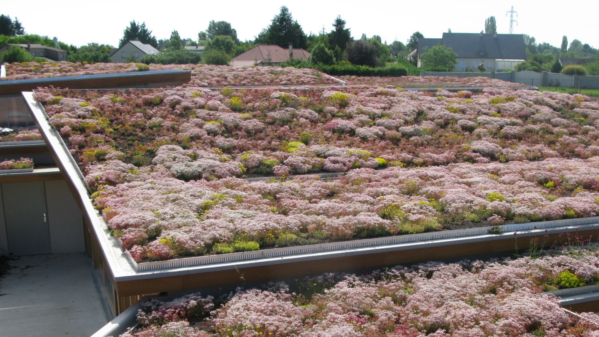 The green roof of a nursing home in France