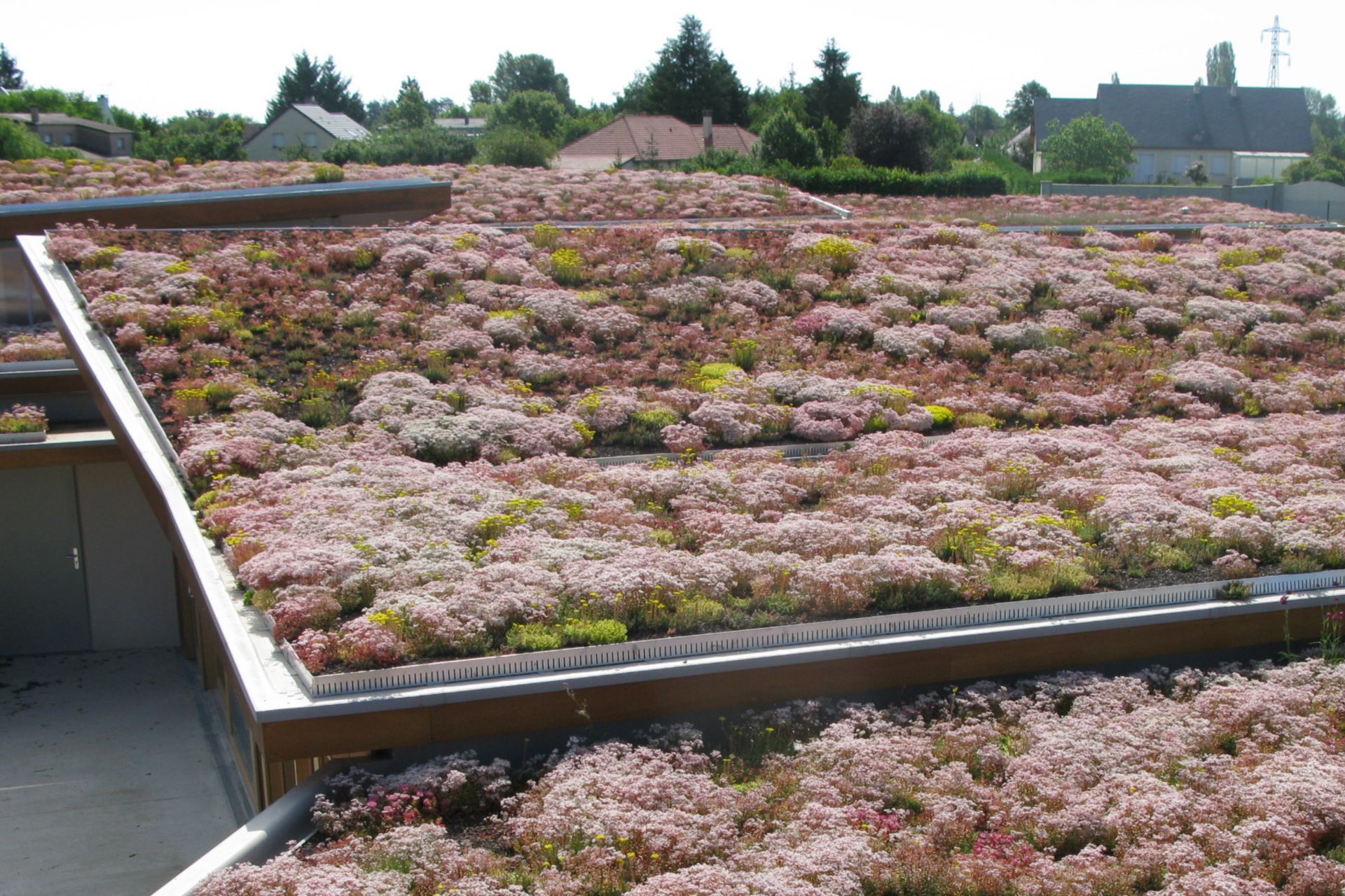 The green roof of a nursing home in France