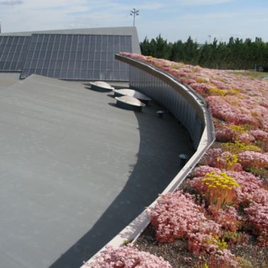The green roof of a nursing home in France