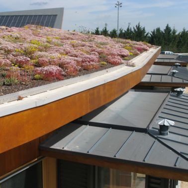 The green roof of a nursing home in France