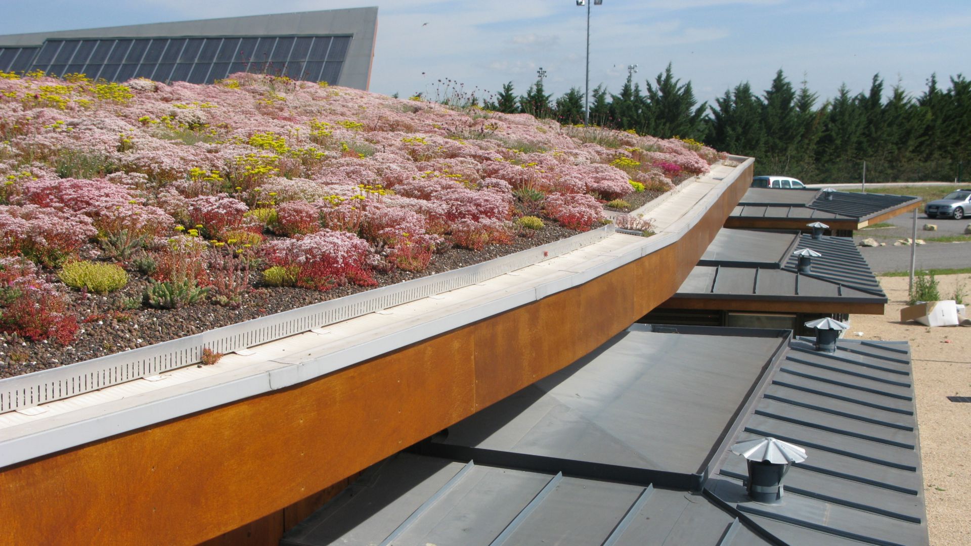 The green roof of a nursing home in France