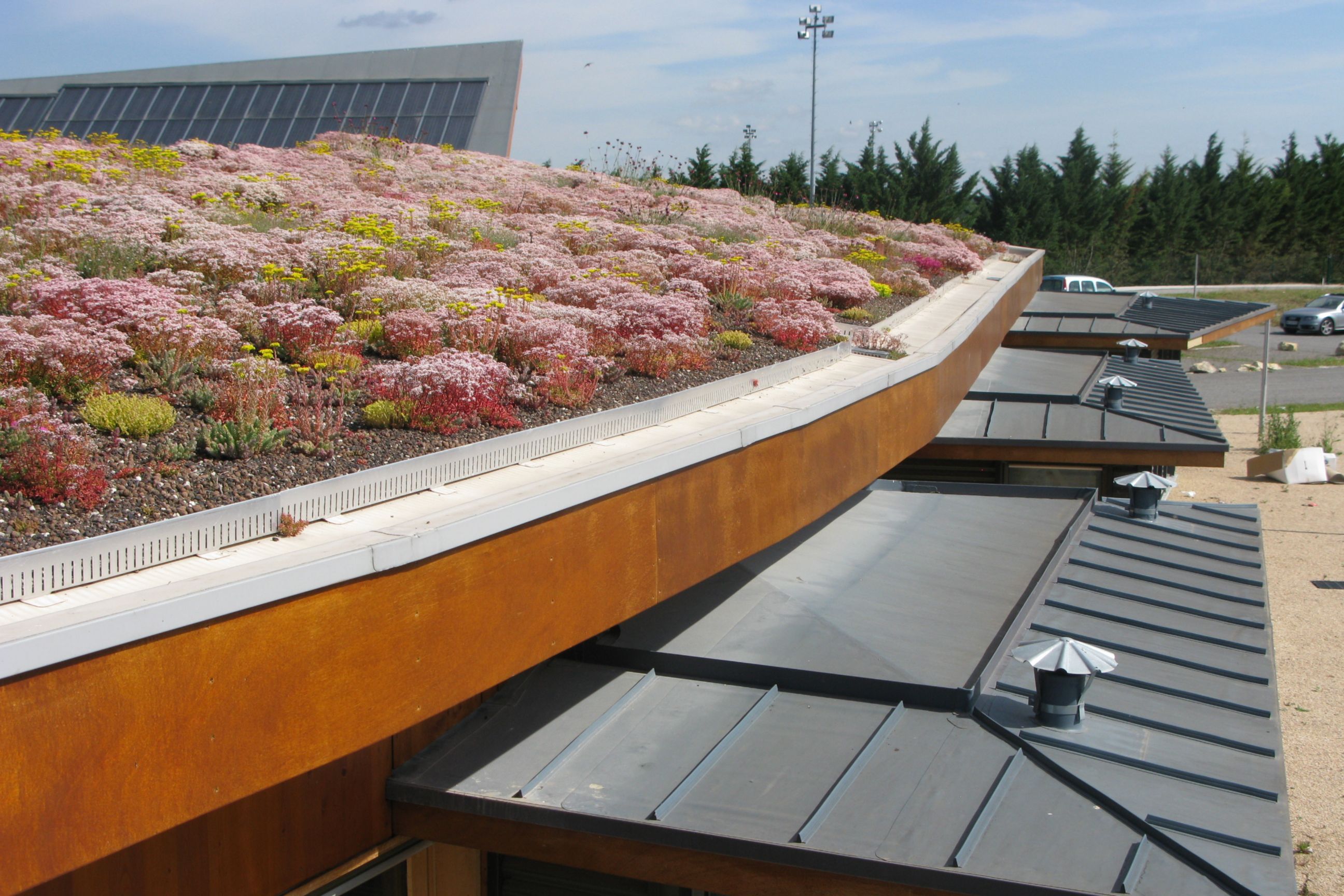 The green roof of a nursing home in France