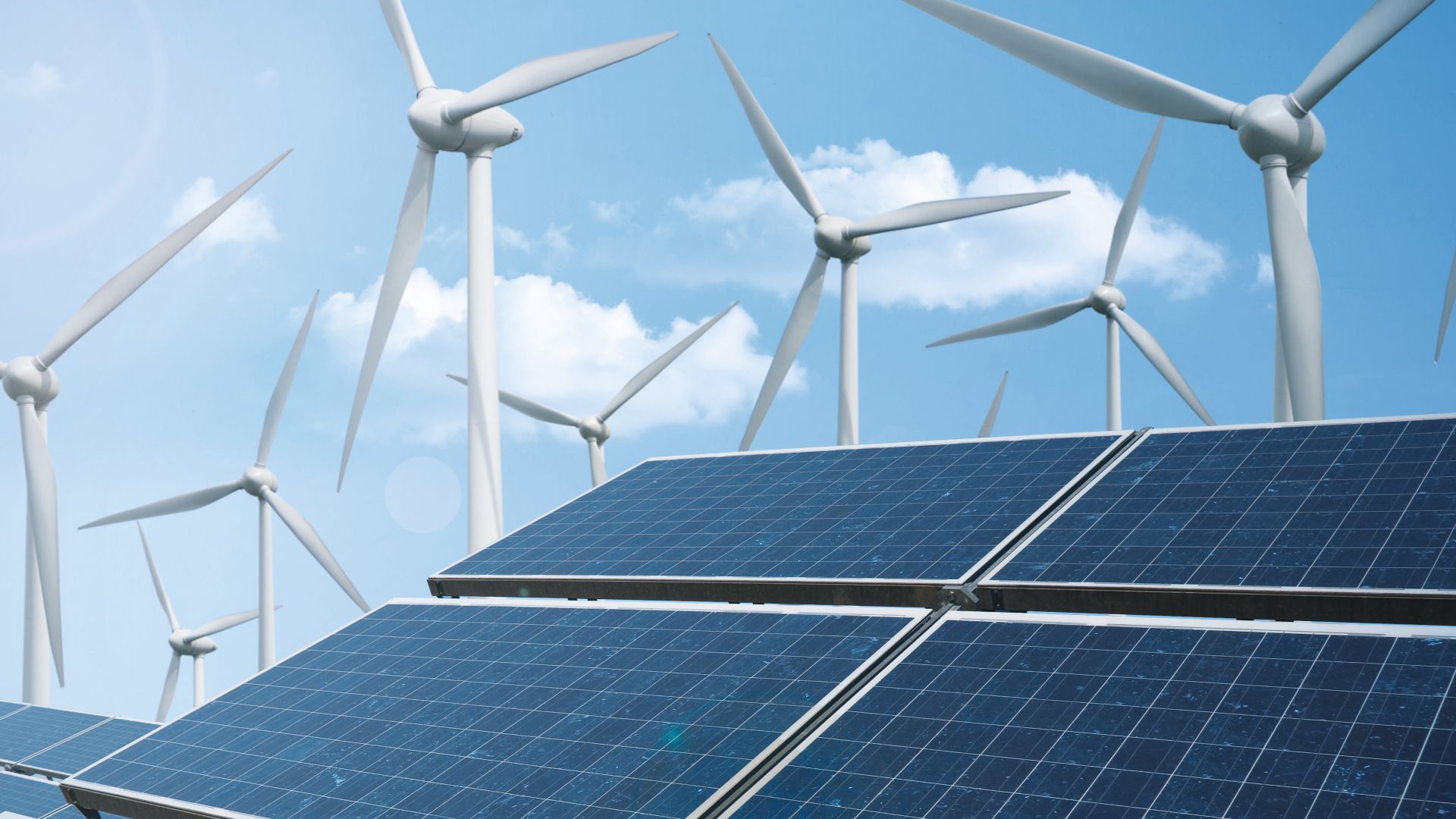 Clean And Lean: Why Green Energy Is Such A  Hot Topic