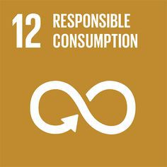 可持续发展目标12