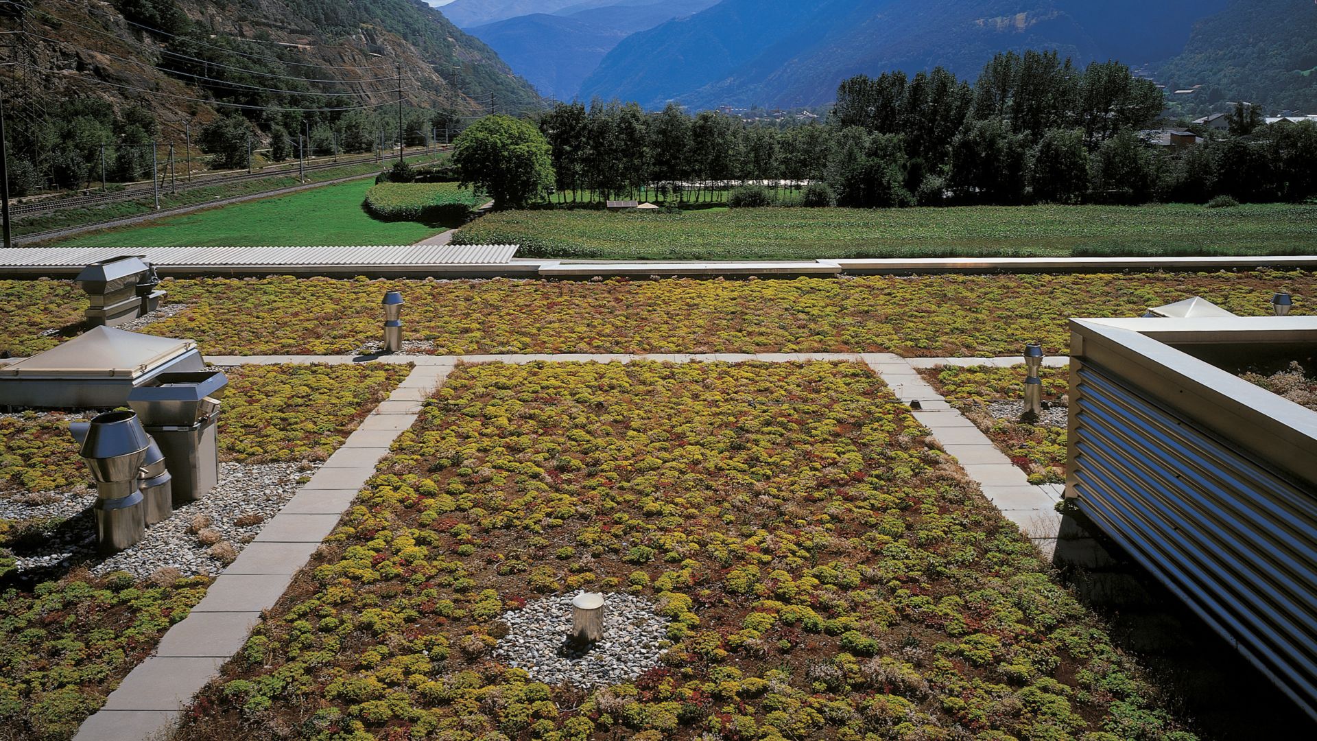 Extensive green roof with mountains in background