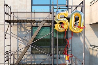 50年Sikaflex 11Fc 1