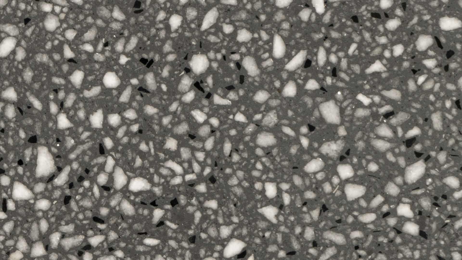 Sikafloor® Terrazzo floor color sample dark grey