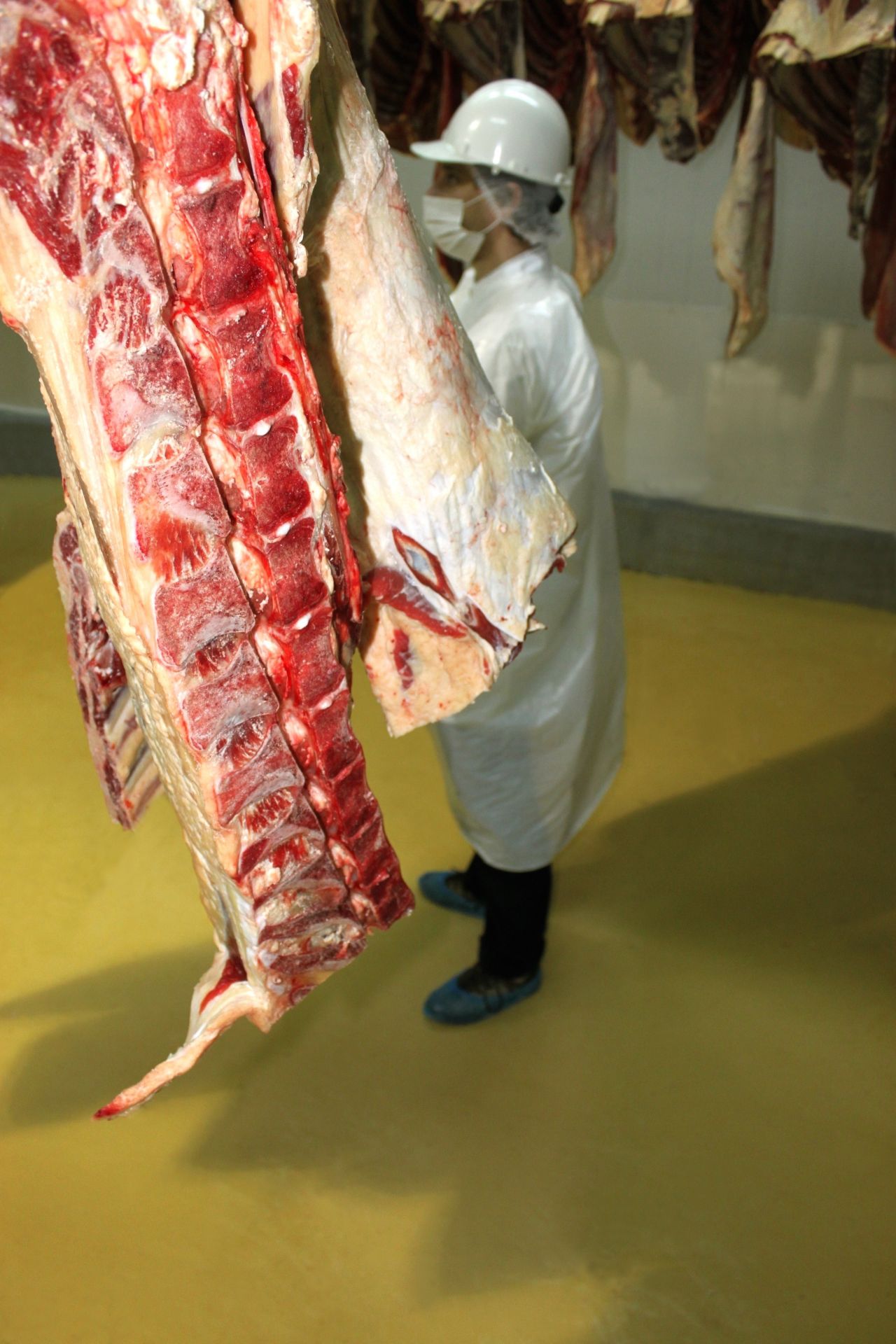Worker standing on hygenic floor in Meat Processing Plant