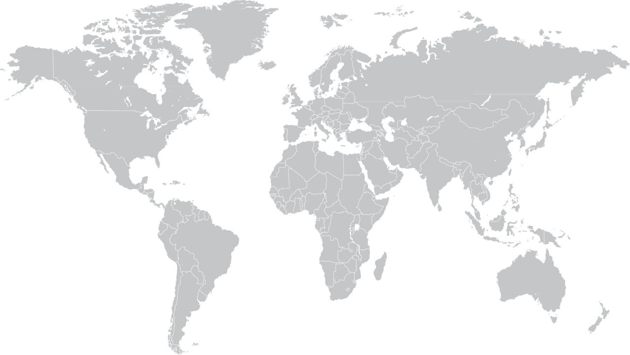 Grey World Map