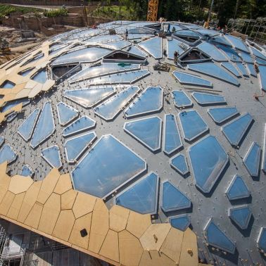 Construction of Elephant House in Zurich Zoo