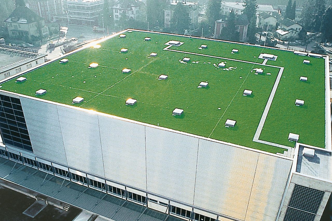 TETTO VERDE DI联合国Edificio Commerciole / Industriale