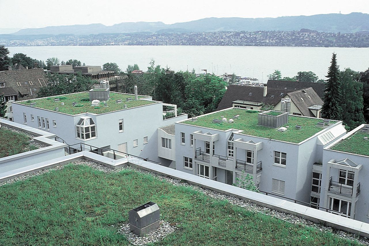 Tetto Verde di联合国Edificio Residenziale