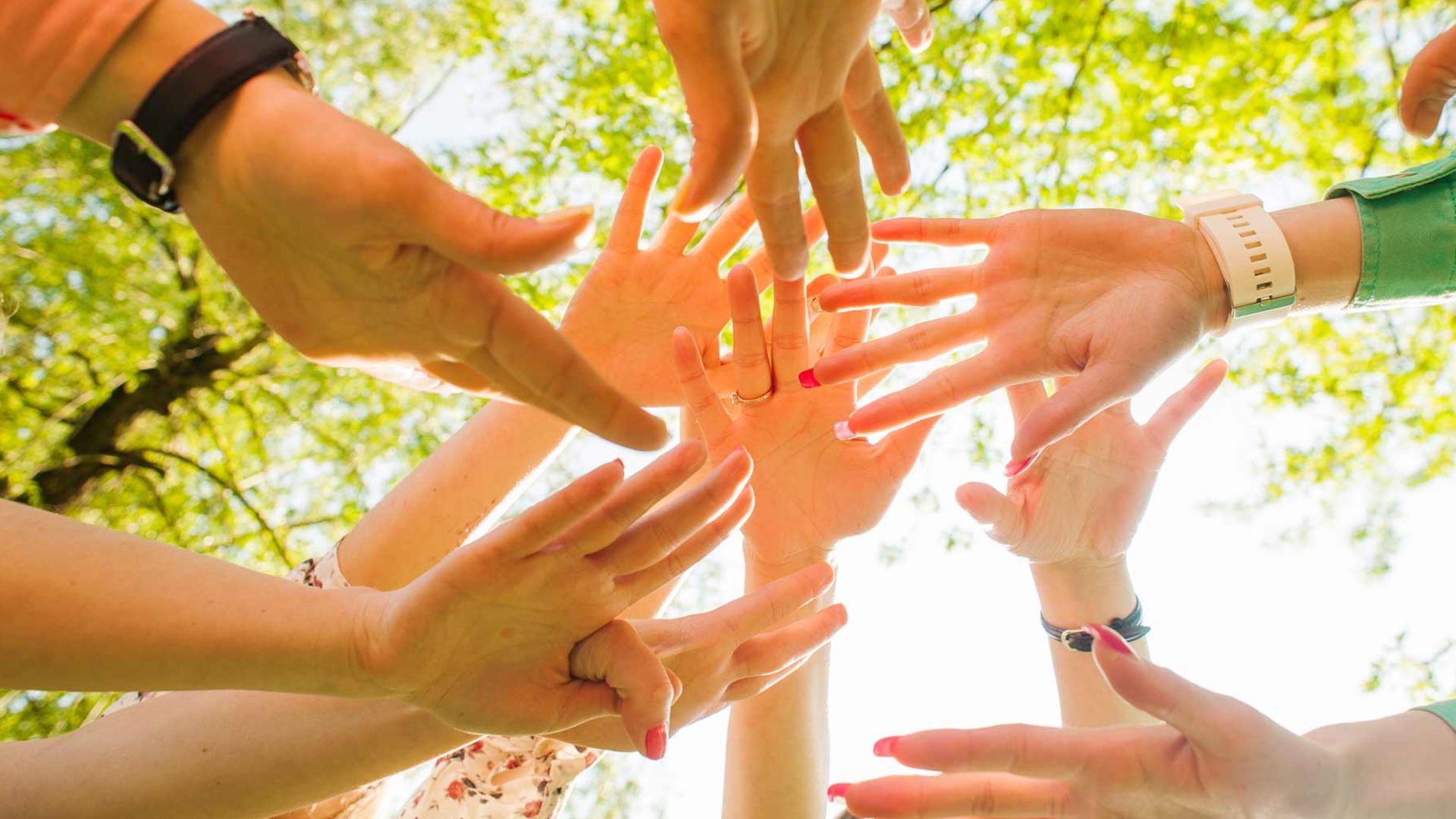 Hands of young people in the nature, team concept