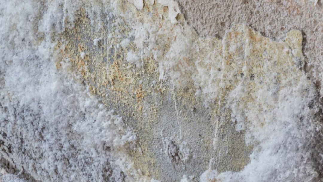 Corrigir ou prevenir paredes com umidade ascendente – SIKA