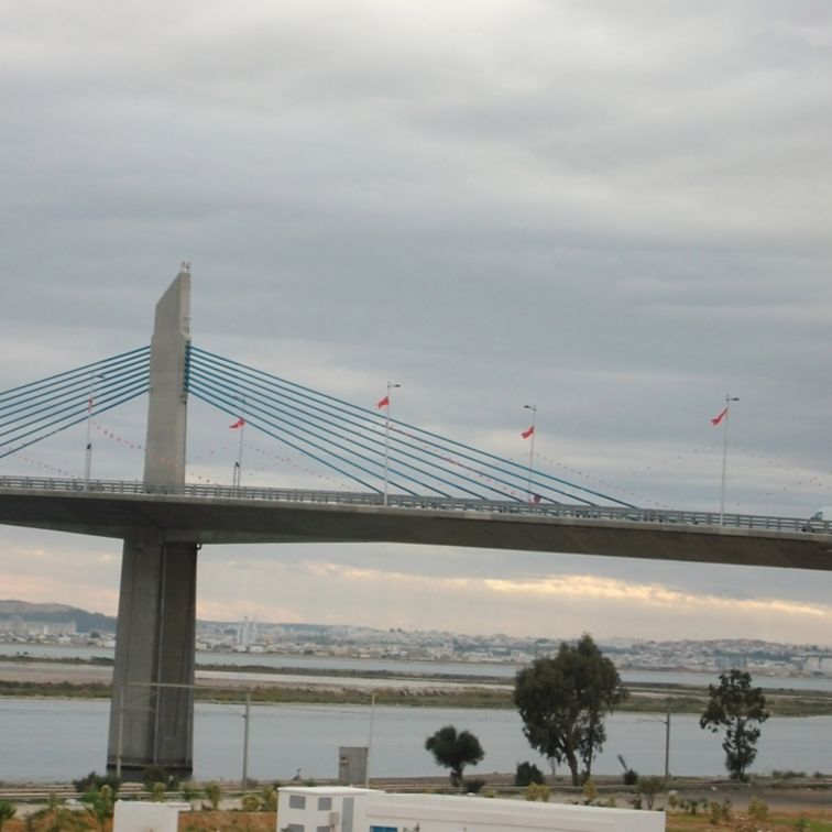 Projet Pont de Radès