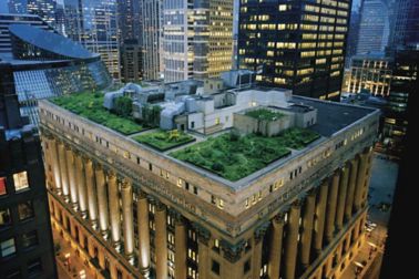A green roof on Chicago's City Hall.
