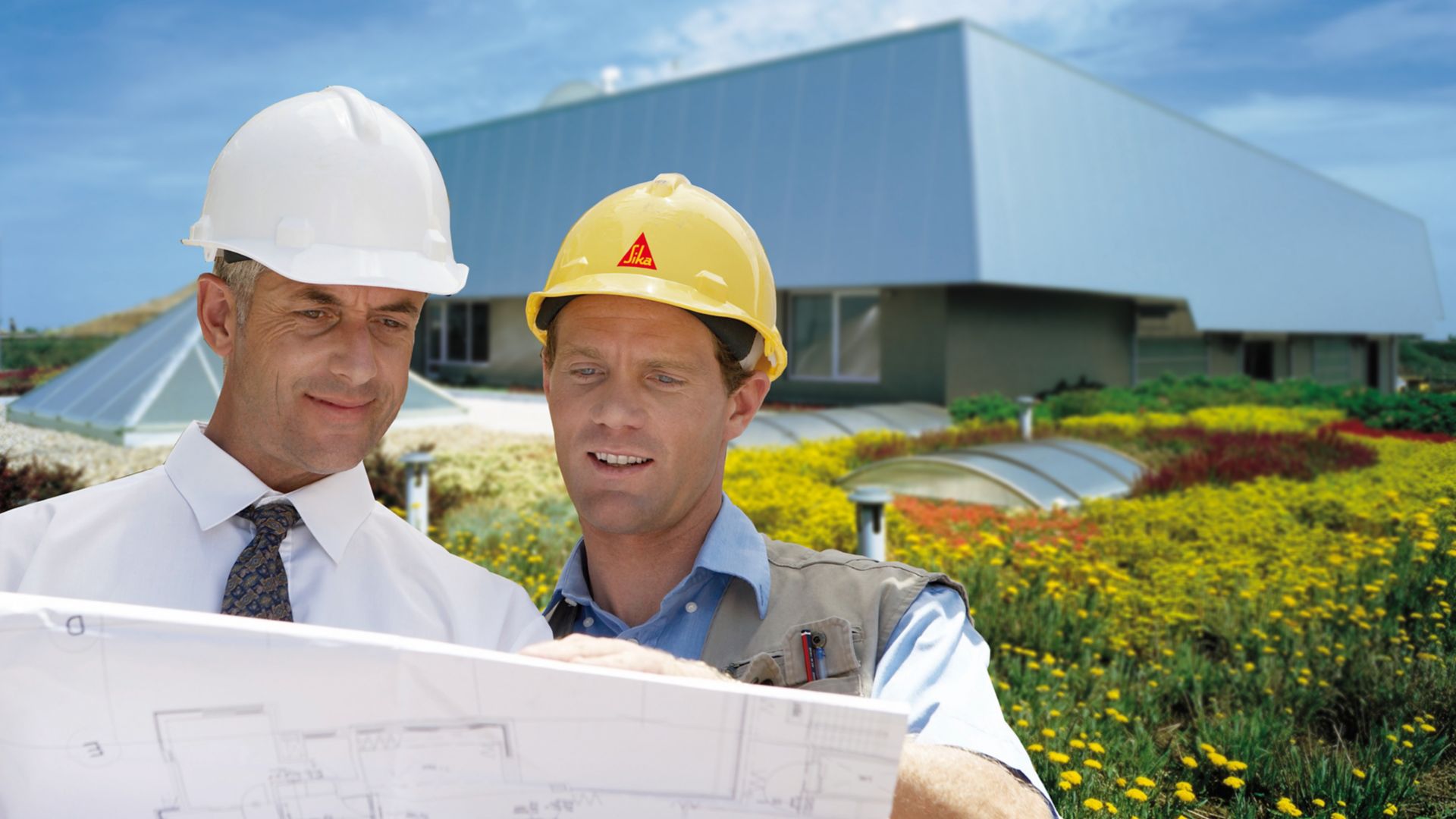 Sika engineer consults architect on green roof