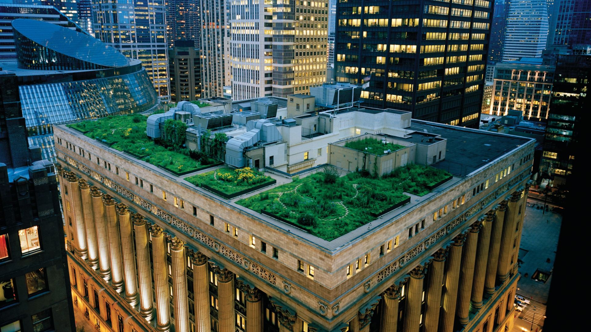 Green roof with single-ply membrane installed on Chicago City Hall