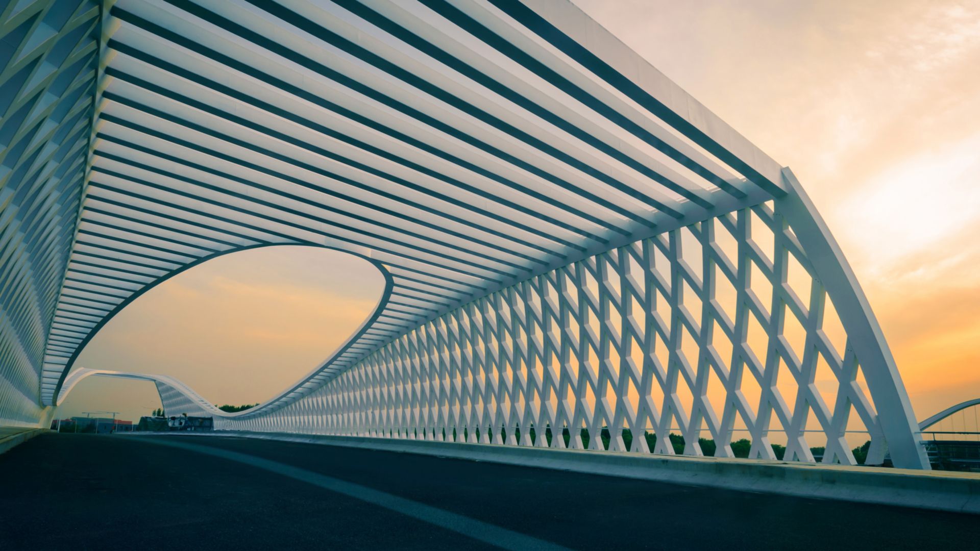 Modern bridge in the sunset