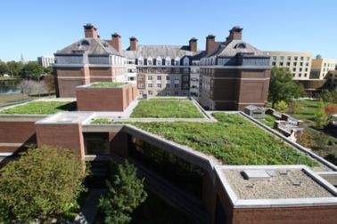 Harvard Business School Green Roof