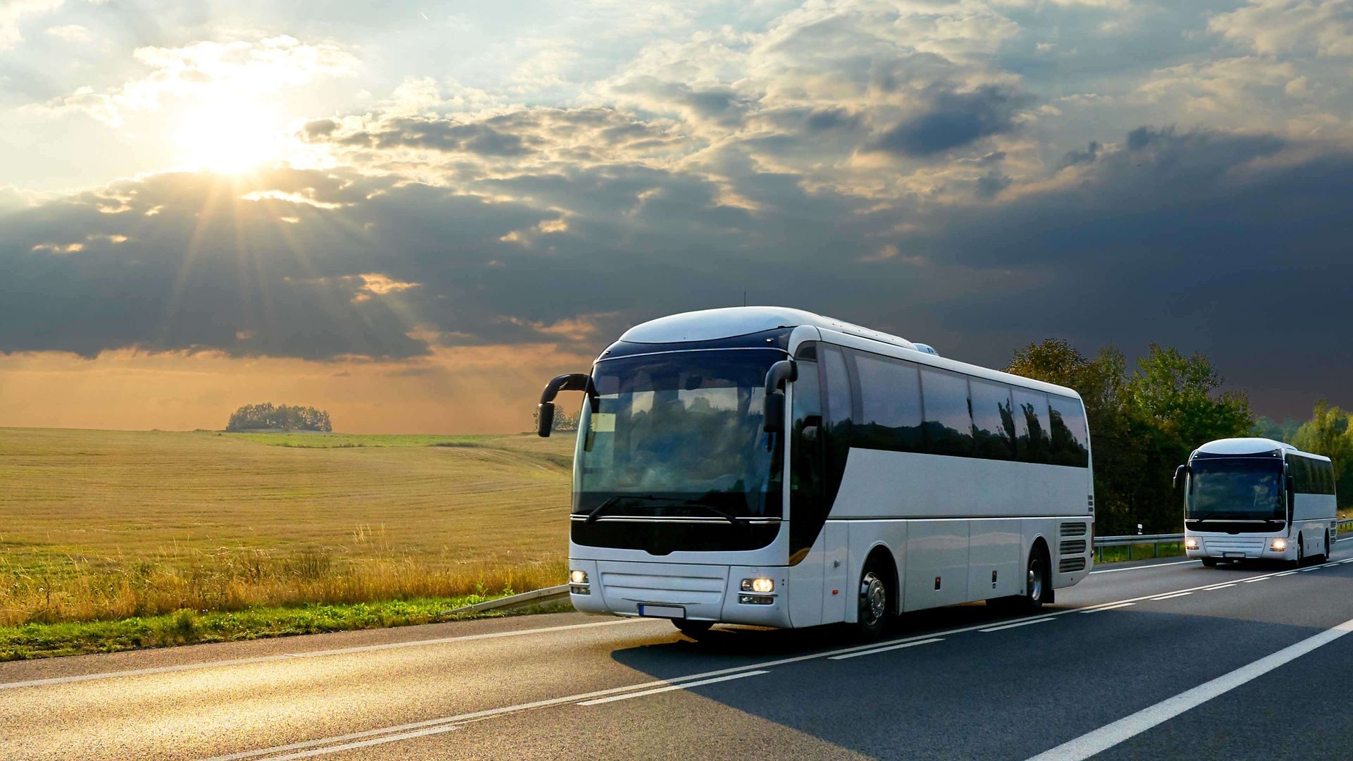 White buses traveling on the asphalt road in rural landscape at sunset with dramatic clouds