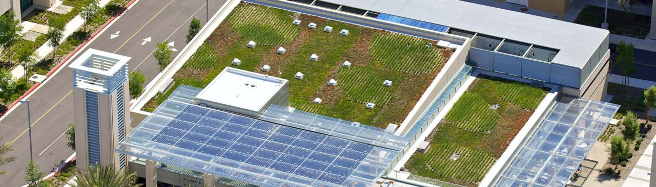 San Diego County Operations green roof
