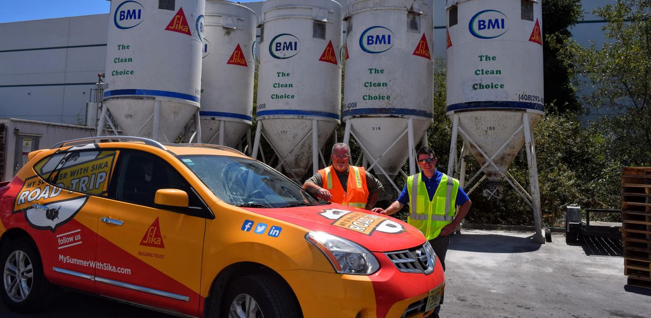 我和梅花树的夏天