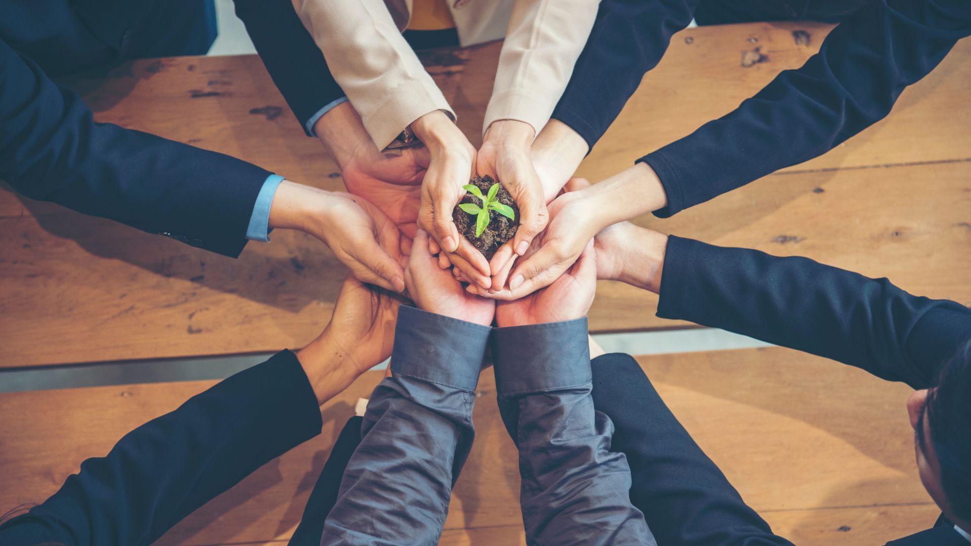 Green business eco company partners holding plant together trust mission team with green hands stacked. Ecology collaboration development ecosystem organization in greenery company partnership concept