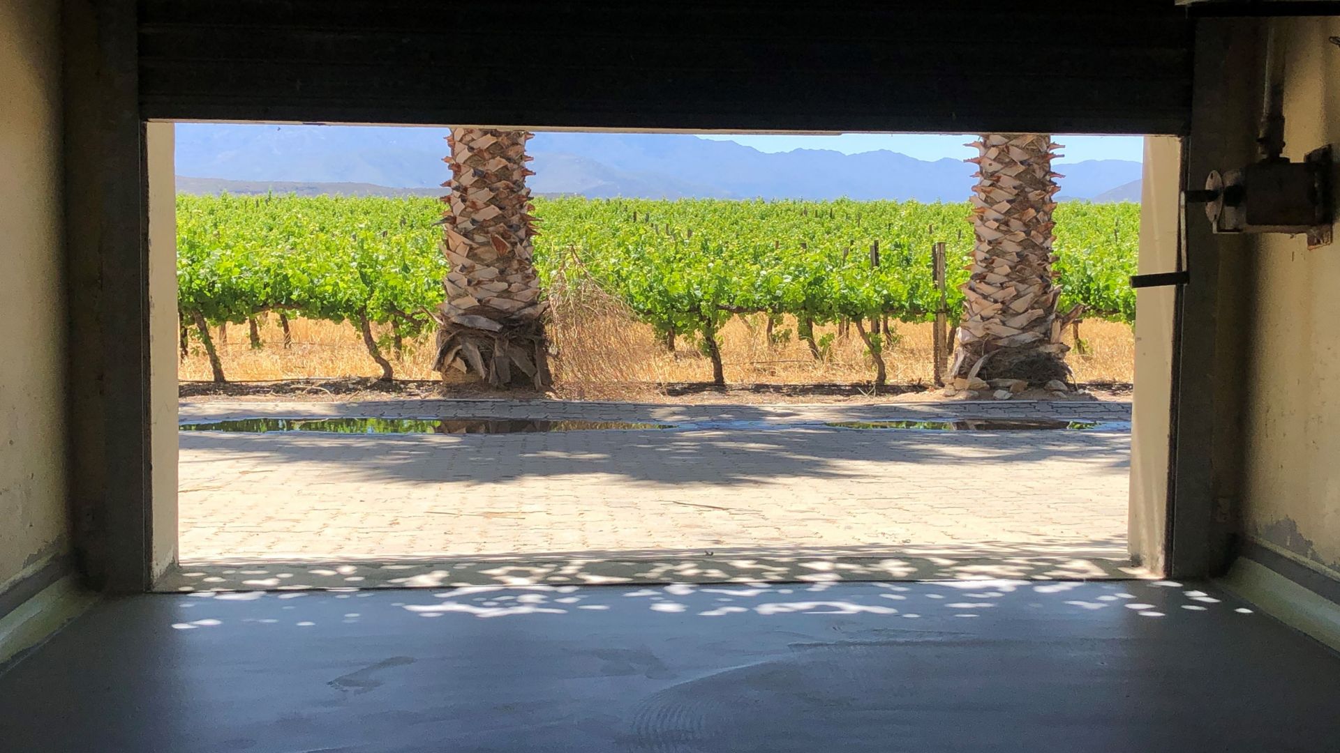 Concrete floor refurbishment at Le Grand Chasseur Winery