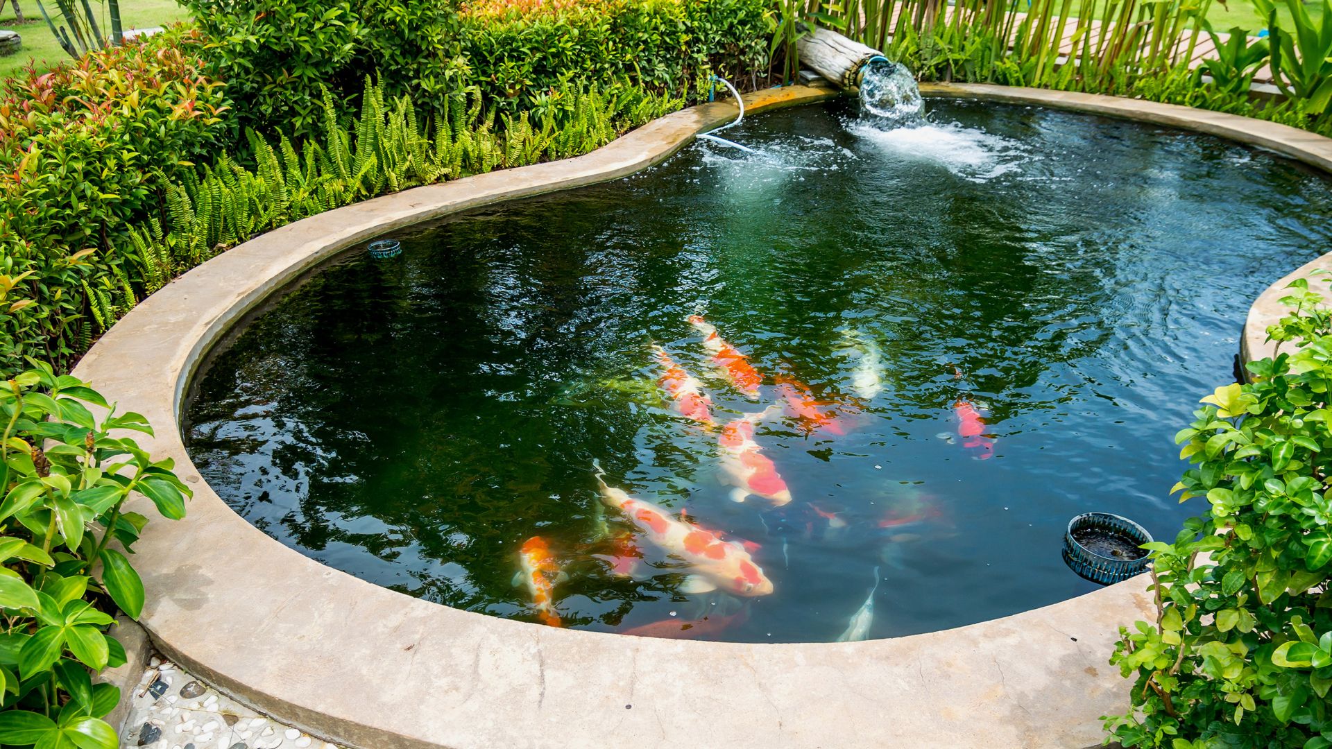 Where to use product guideline to waterproof your pond