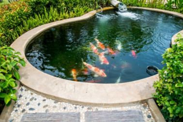 Where to use product guideline to waterproof your pond