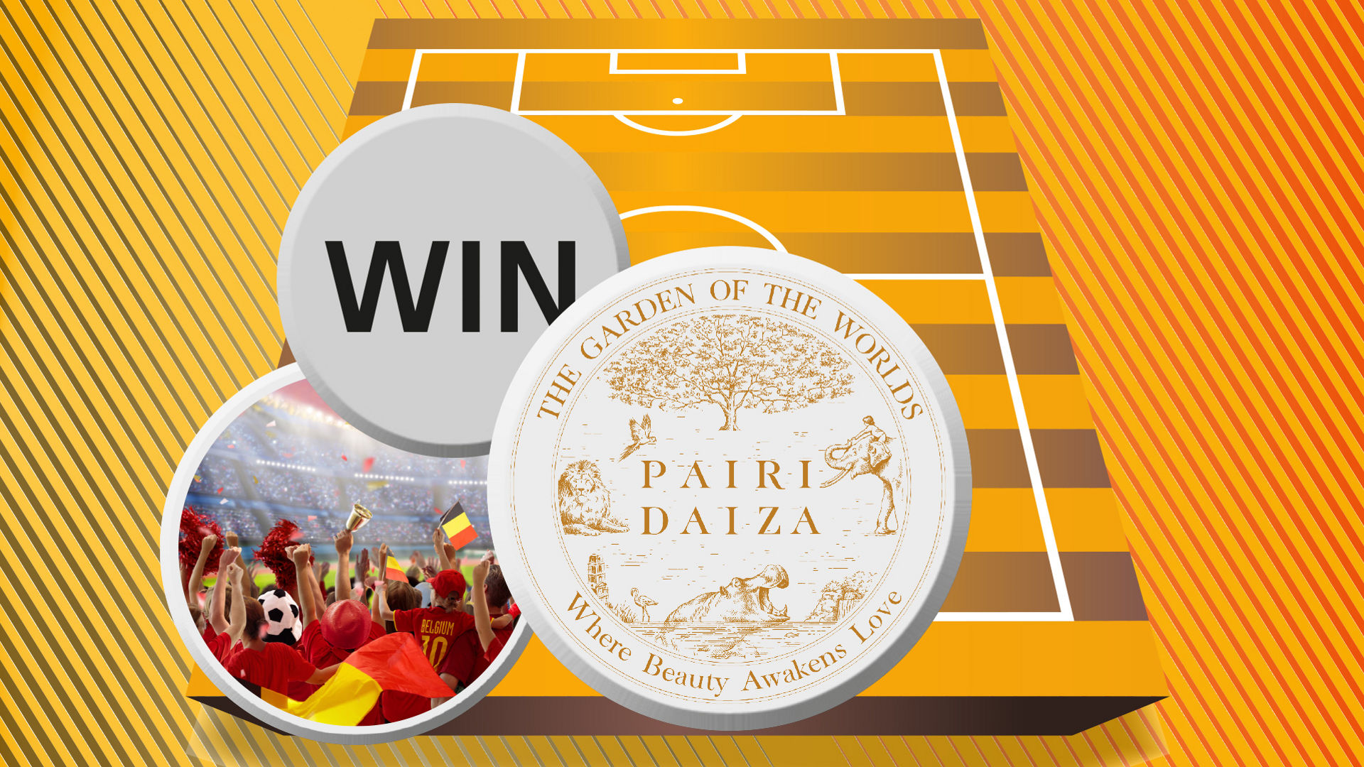 Soccer Stadium Crowd with Pairi Daiza Medallion Overlay