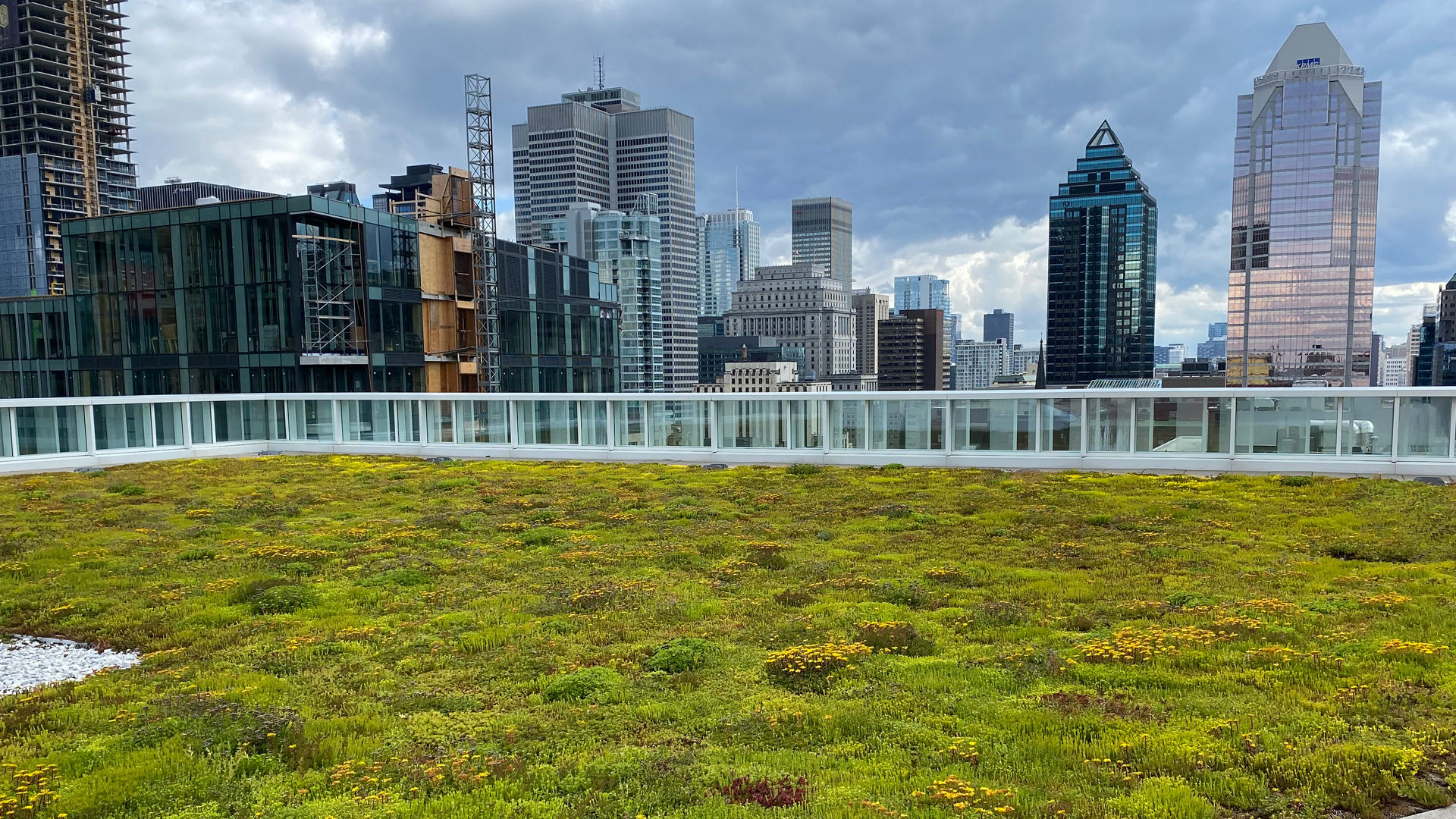 Concrete-Sustainability