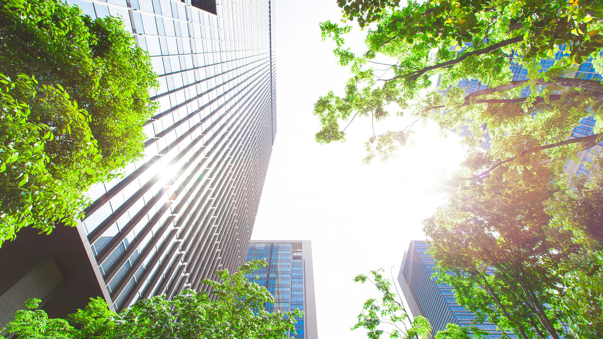 Sustainability