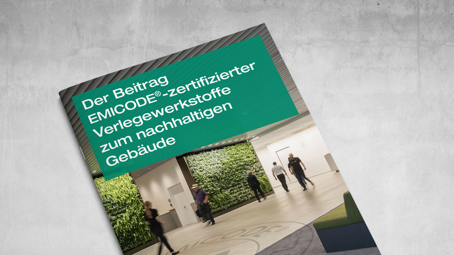 SCHÖNOX EMICODE zertifizierter Verlegungswerkstoffe