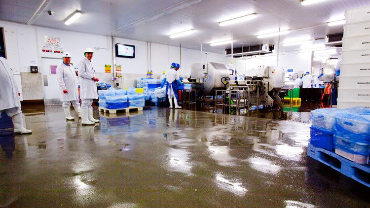 seafood-facility
