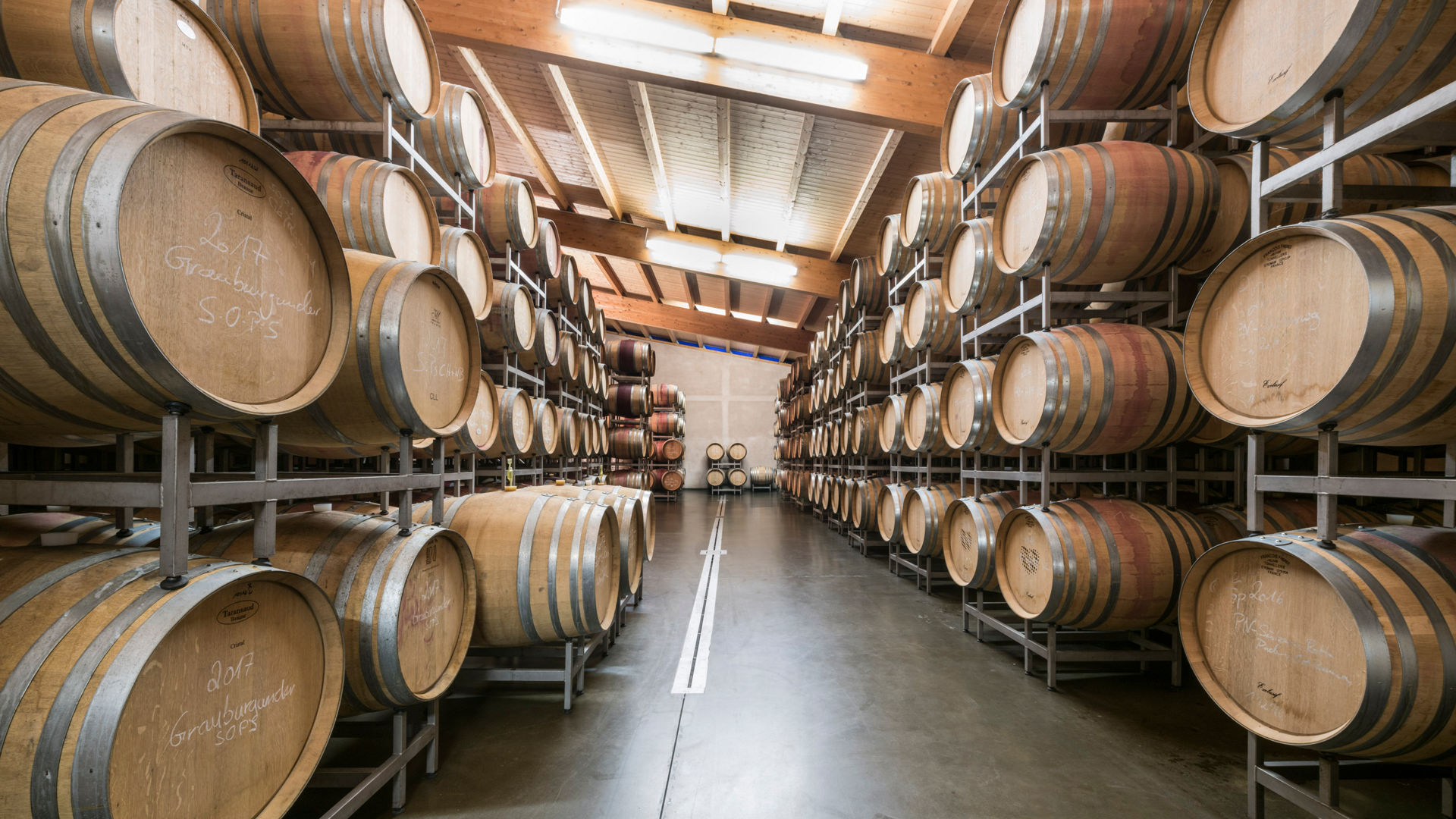 Wine cellar with barrels 