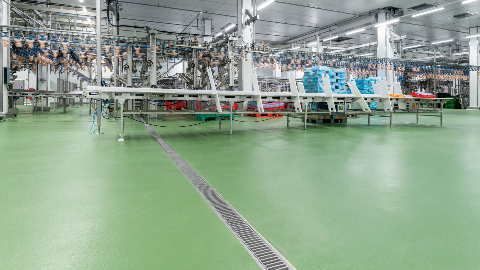 Green floor of a food processing plant