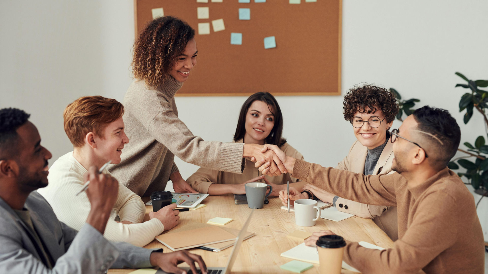 interview header career