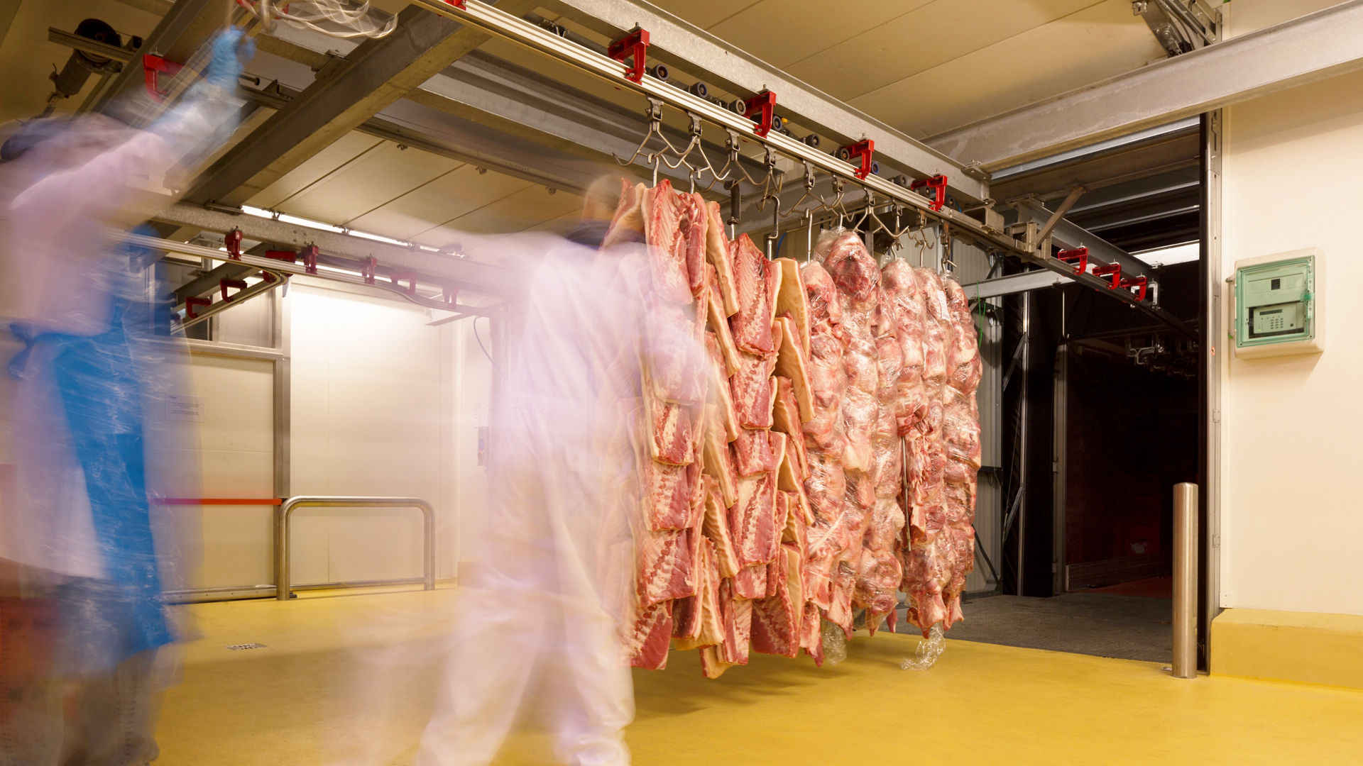 yellow floor in abattoir, sika flooring