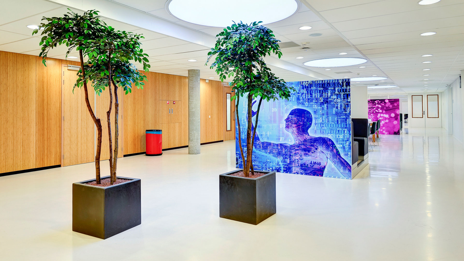 Aloysis Collage Hilversum floor finished project