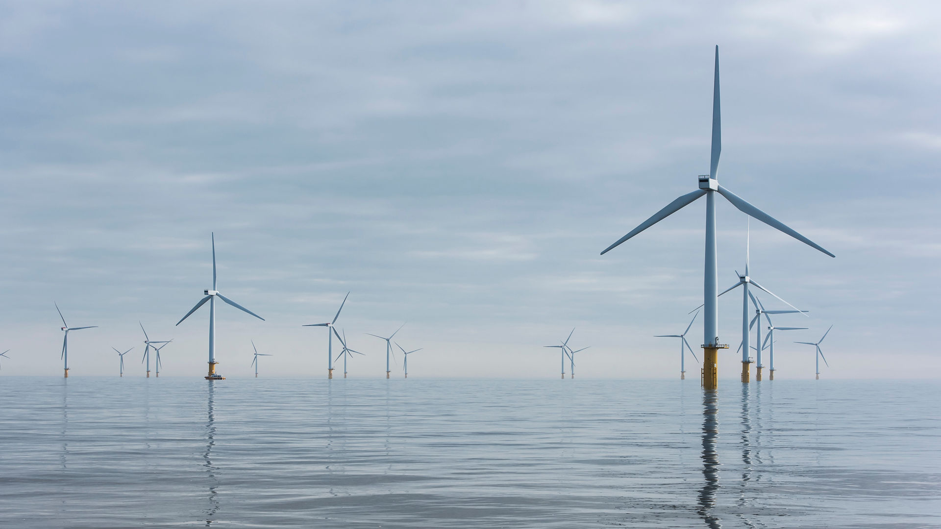 Hibiki Trial Stinger  - Offshore Wind Turbines