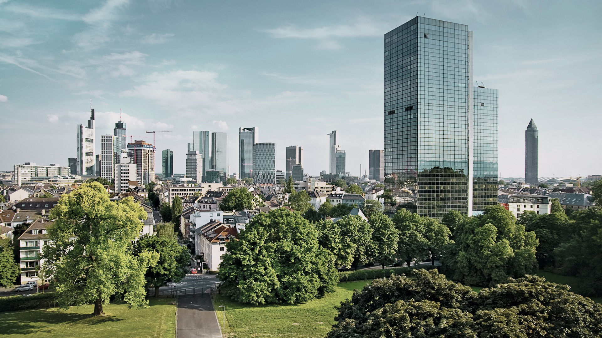 Skyline 