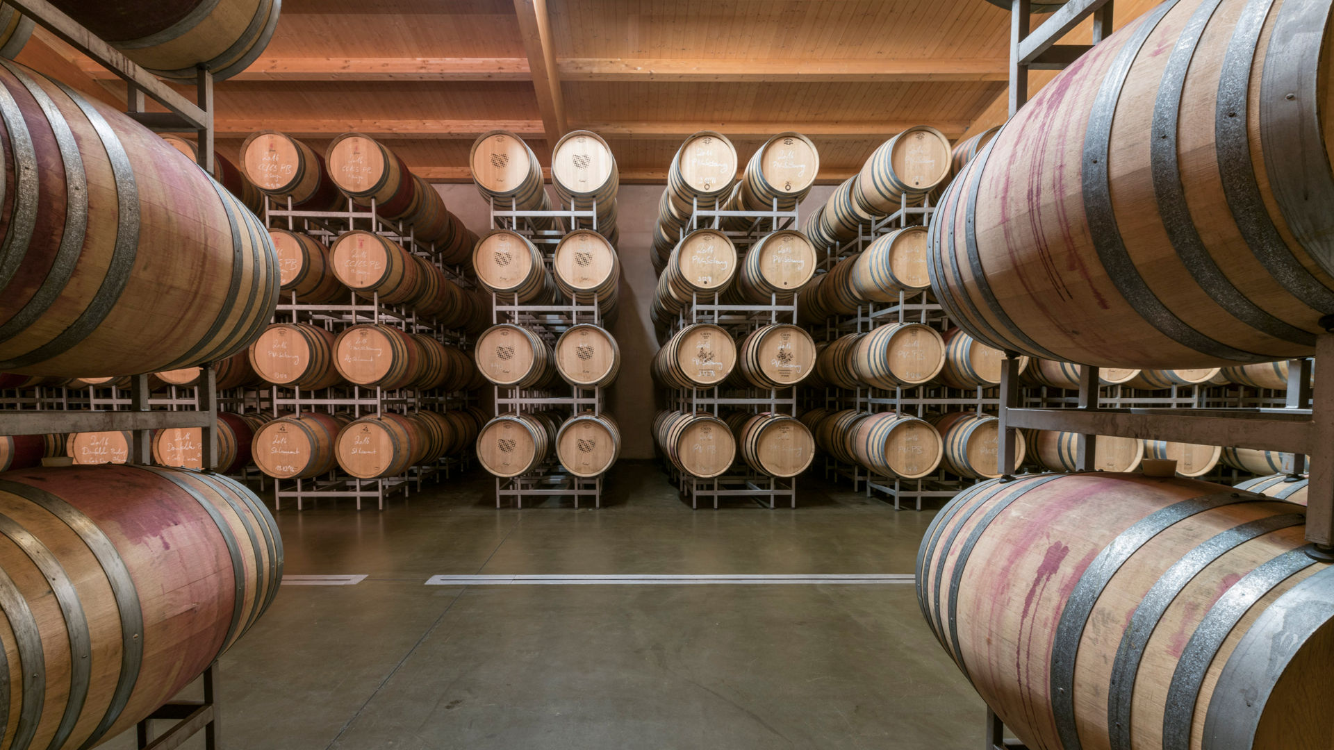 Rows of wine barrels in cellar