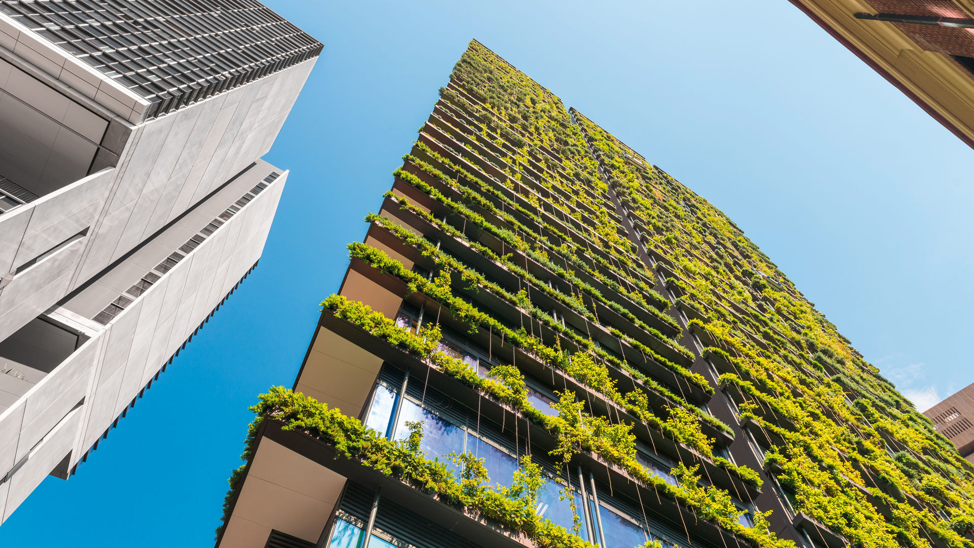 Sustainability: High Rise building with green terraces