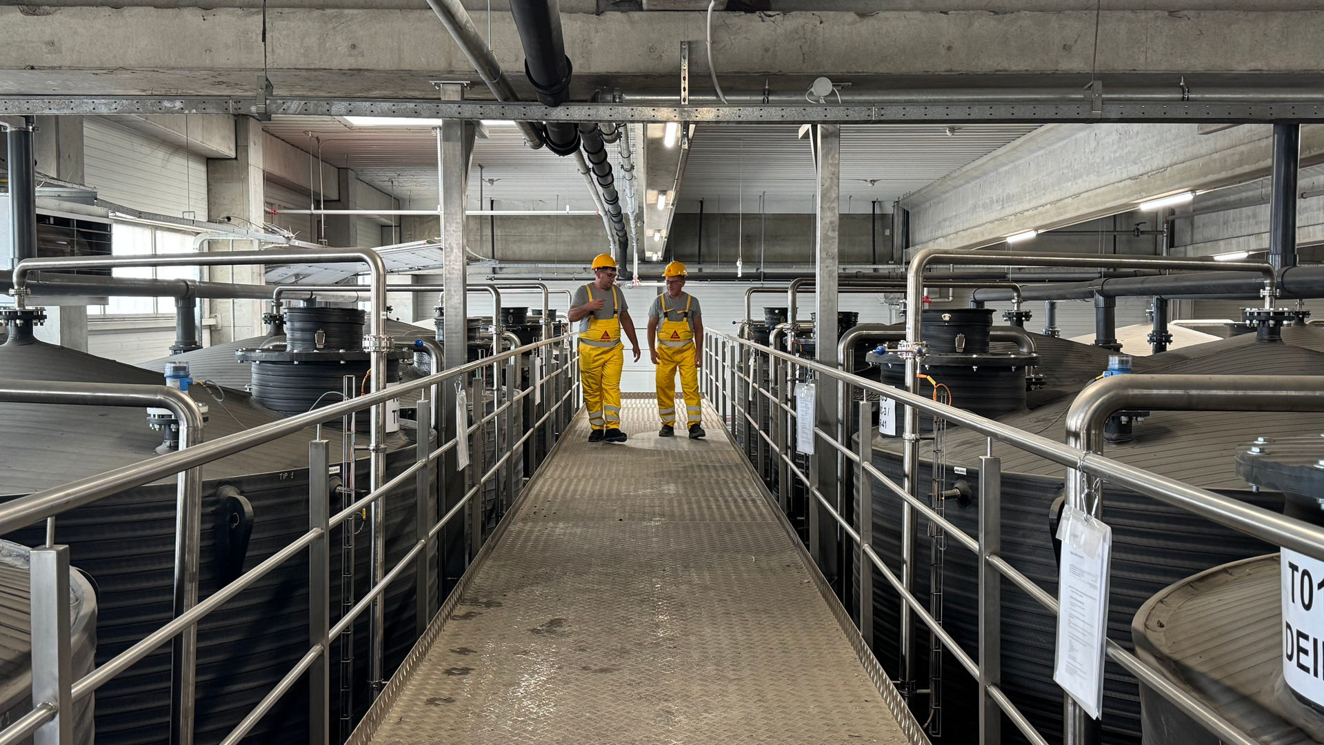 two workers in prahova plant