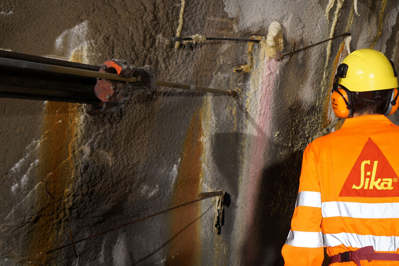 Yetuk tukli mushuk shaxsiy surat