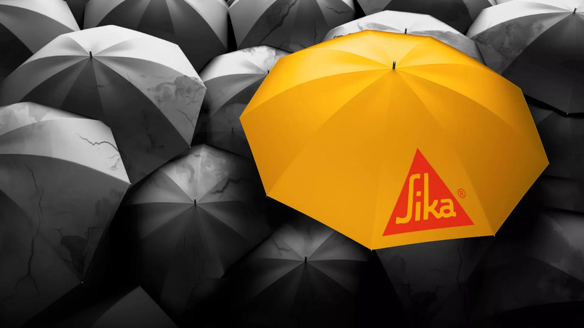 tn-sikashield-yellow-umbrella