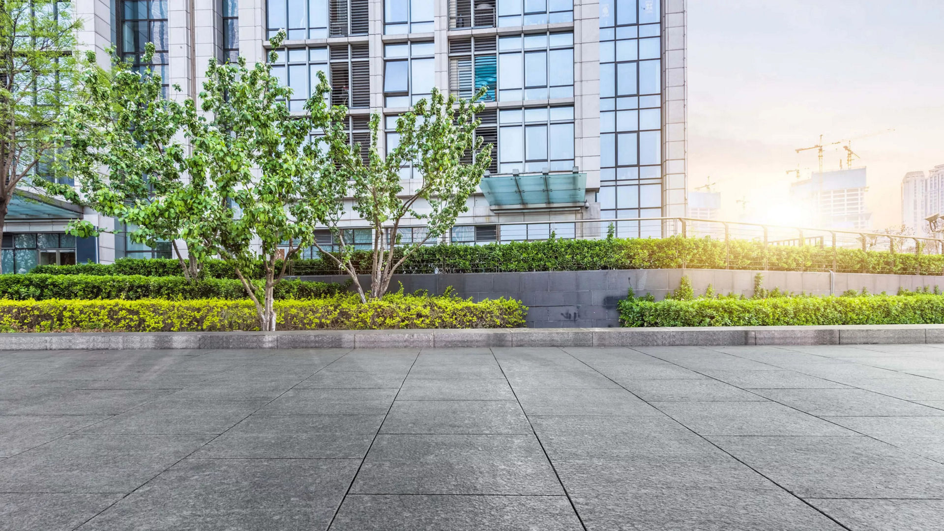 Modern urban plaza with greenery
